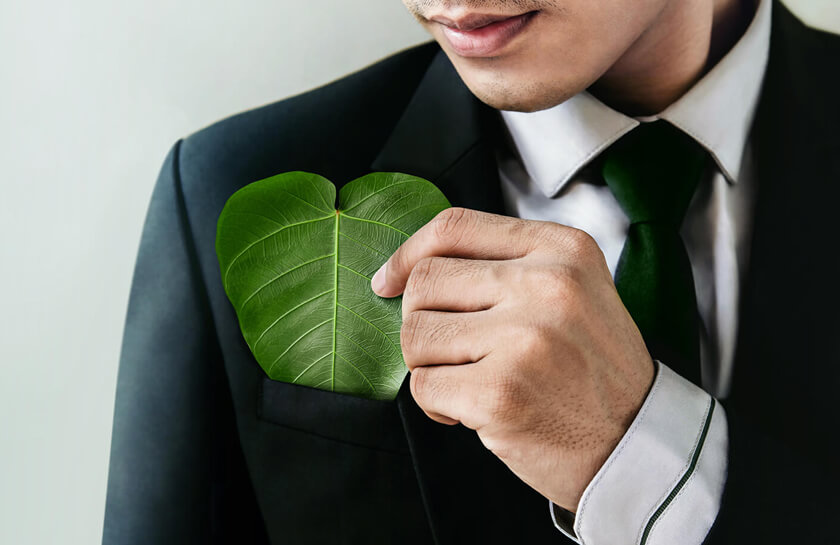 Sustainable Development Goals Image